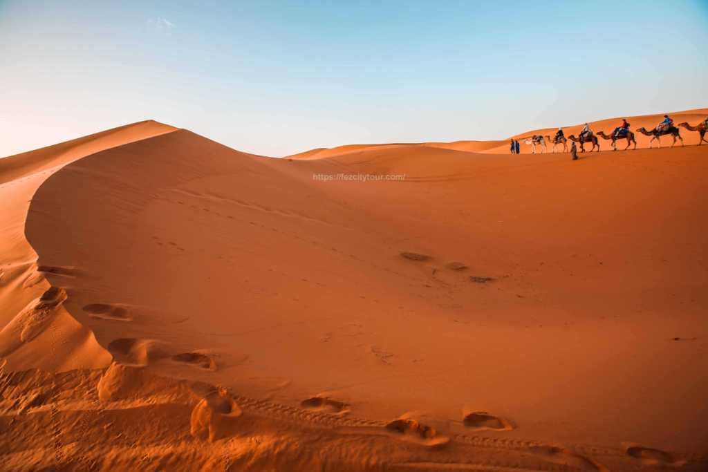 Merzouga camel trekkin-fez marrakech desert trip 2 days