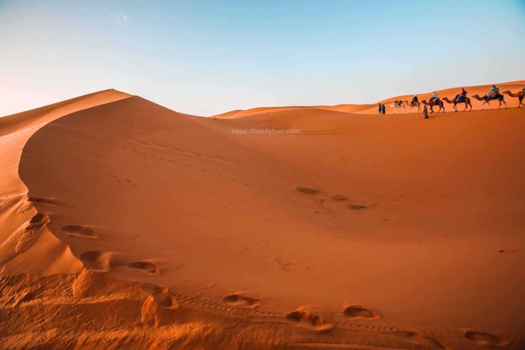 morocco desert tours from fez