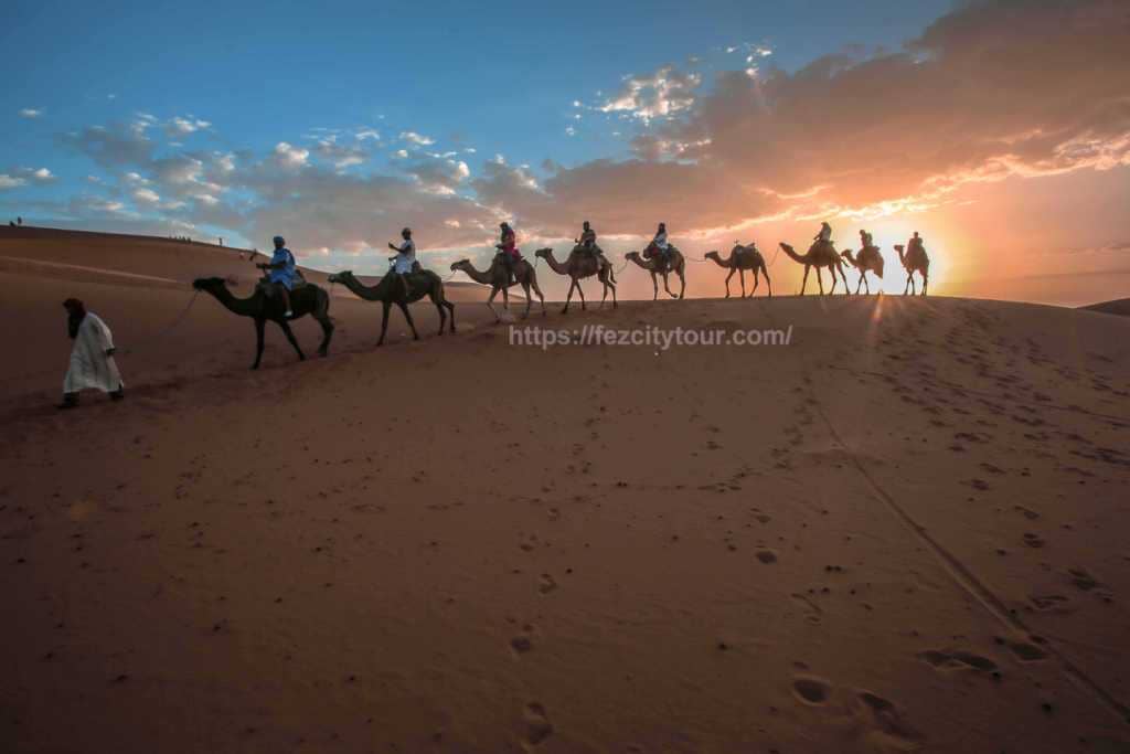 best sahara desert tours & travels