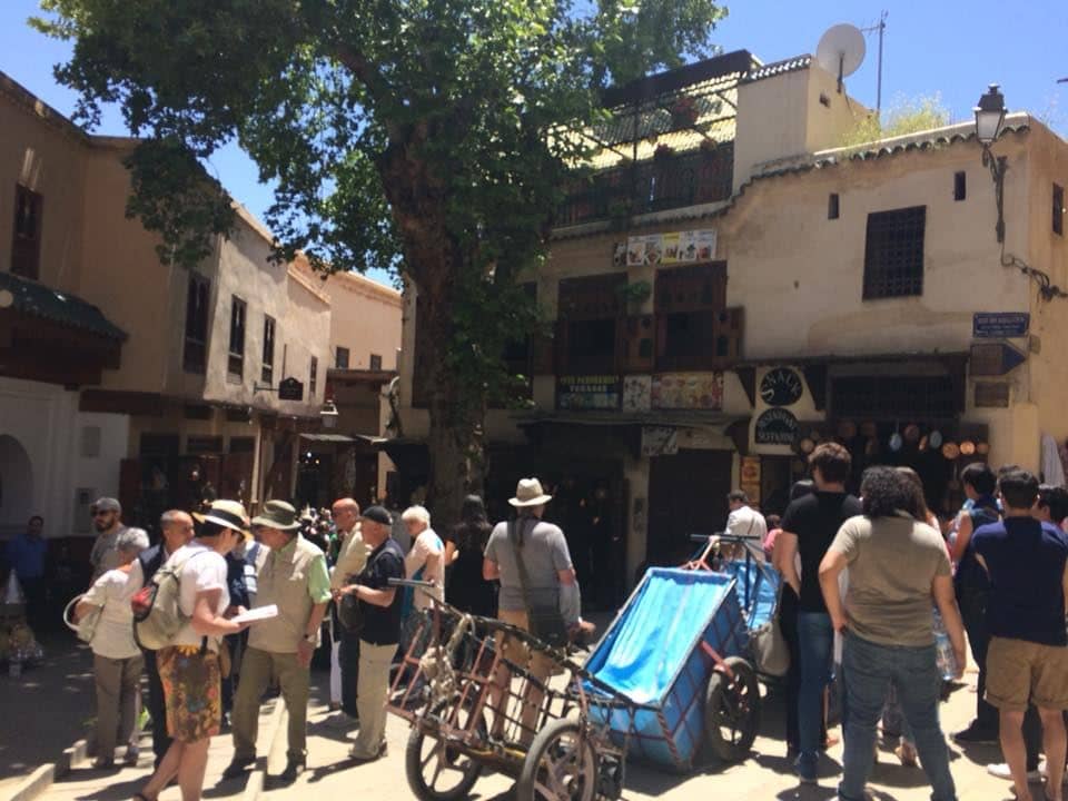 guided tours and day trips in fez